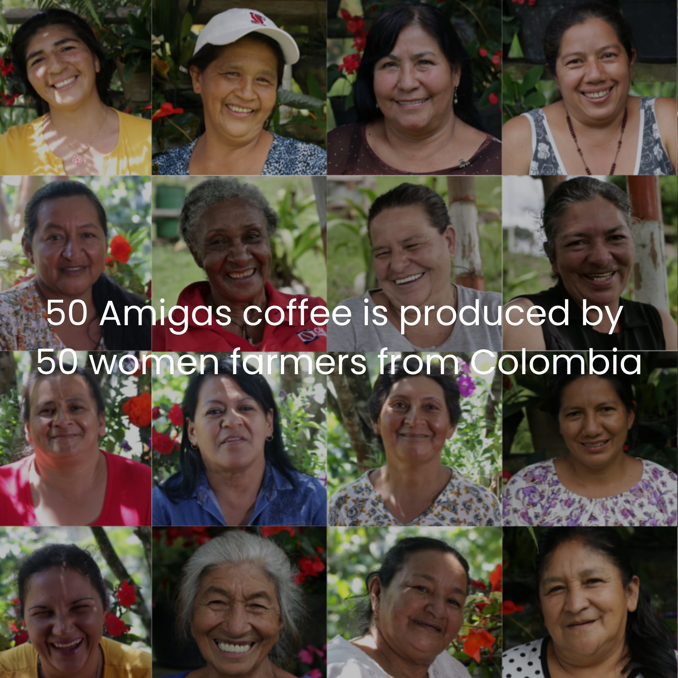 50 Amigas Coffee Colombian | Arabica | Gourmet | Direct Trade -5 LBS (Pack of 5)